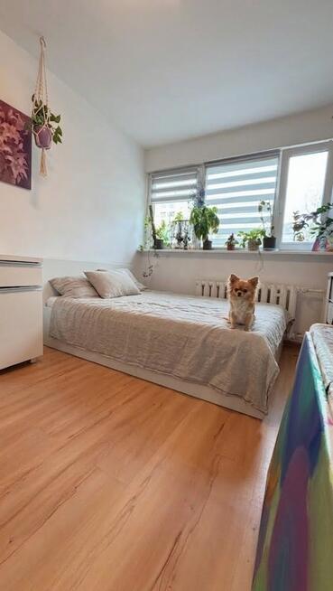 Rodzinne 3 pokoje na parterze 62m² – Świerczewo