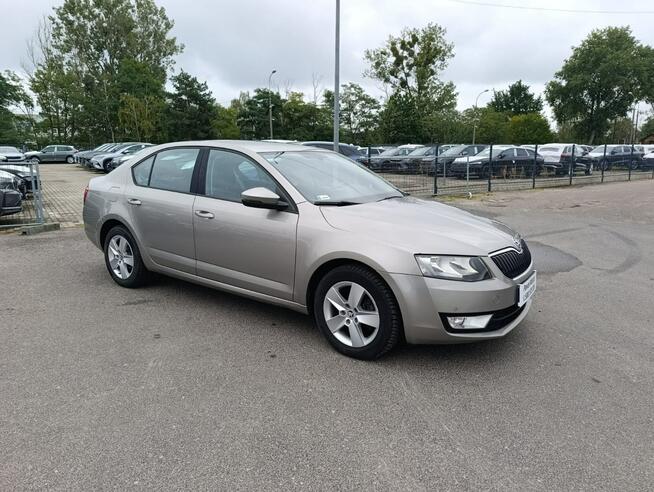 Škoda Octavia SALON POLSKA