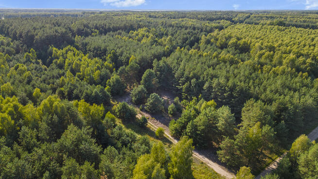 ✅ Zobacz> Działka zabudowa całoroczna>2987m2✅