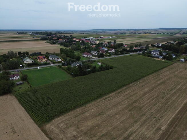 Atrakcyjne działki blisko Zamościa, Borowina