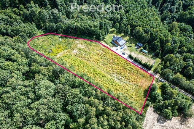 Działka 1,09 ha pod lasem | WZ w toku – Nawsie, cisza
