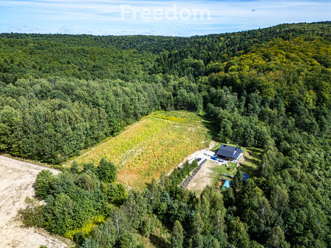 Działka 1,09 ha pod lasem | WZ w toku – Nawsie, cisza