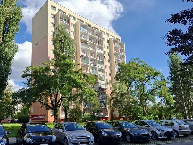Słoneczne 2 pokoje 46 m² na Widzewie, 7 piętro