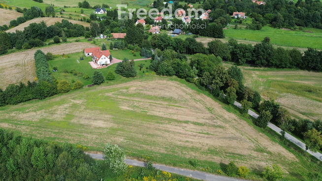 Działka w Próchniku – MPZP, zabudowa jednorodzinna