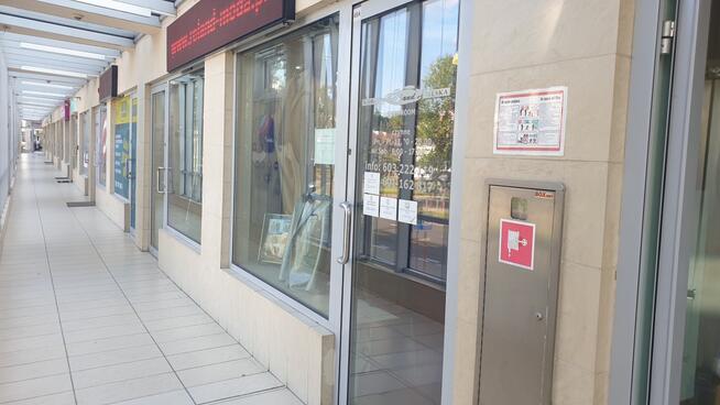 Bezpośrednio Pawilon 60 m2 I piętro