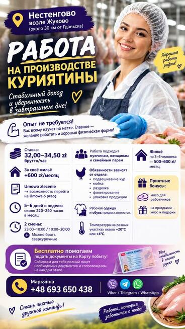 PRACA NA ZAUTOMATYZOWANEJ PRODUKCJI DROBIU