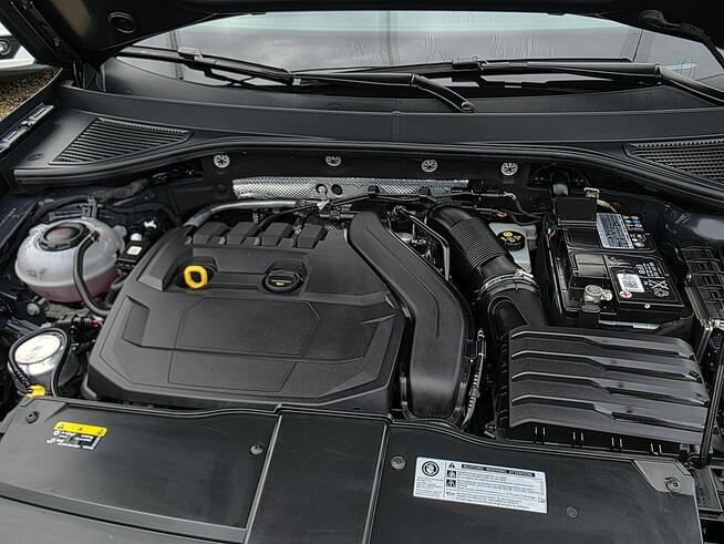 Volkswagen T-Roc serwis ASO, Hak, Panorama dach