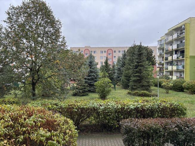 Mieszkanie Szczecin Pomorzany, Inowrocławska