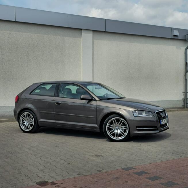 Audi A3 3-drzwiowe 1.6 TDI S line Sportpaket 105KM Manual