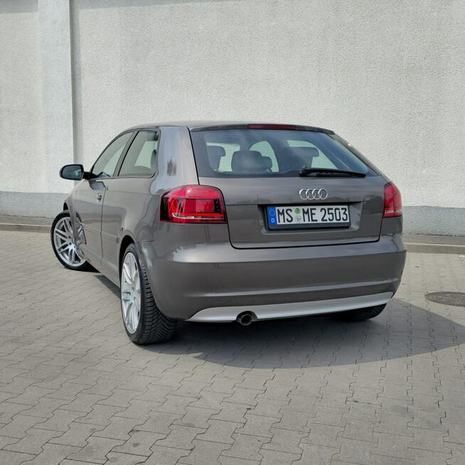 Audi A3 3-drzwiowe 1.6 TDI S line Sportpaket 105KM Manual