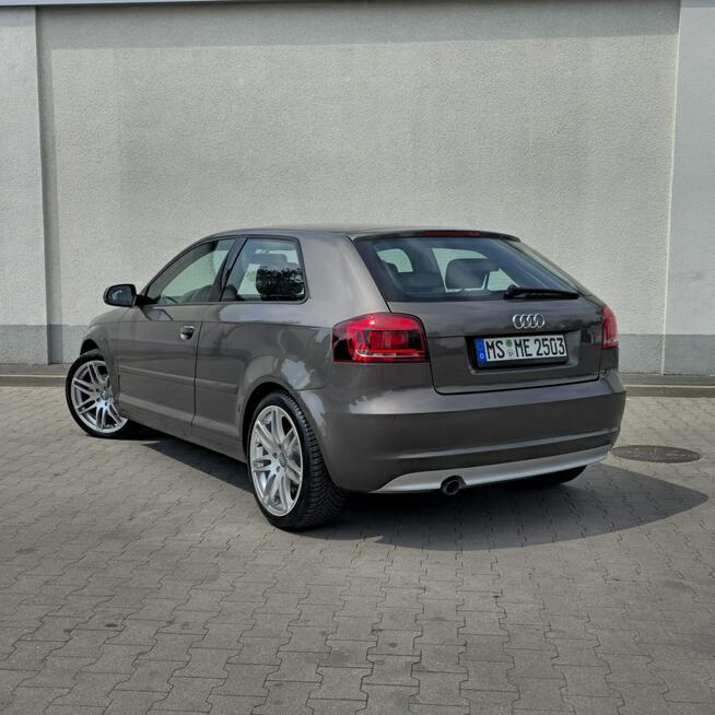 Audi A3 3-drzwiowe 1.6 TDI S line Sportpaket 105KM Manual
