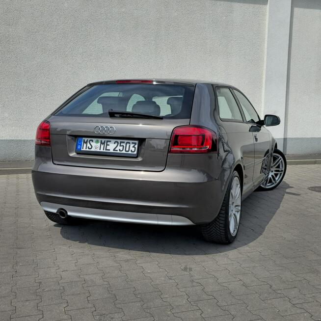 Audi A3 3-drzwiowe 1.6 TDI S line Sportpaket 105KM Manual