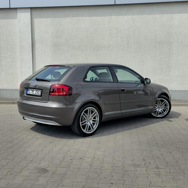 Audi A3 3-drzwiowe 1.6 TDI S line Sportpaket 105KM Manual