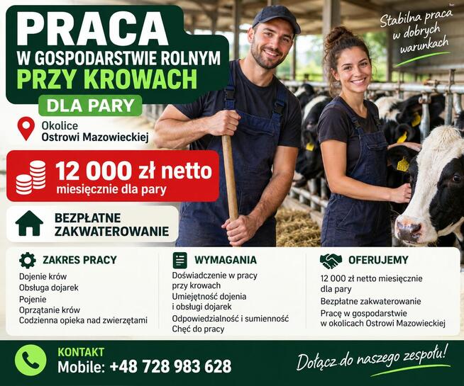 PRACA W GOSPODARSTWIE ROLNYM PRZY KROWACH DLA PARY