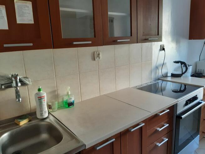 Pokój dla dziewczyny Kraków Grota Roweckiego 49A, Kampus UJ