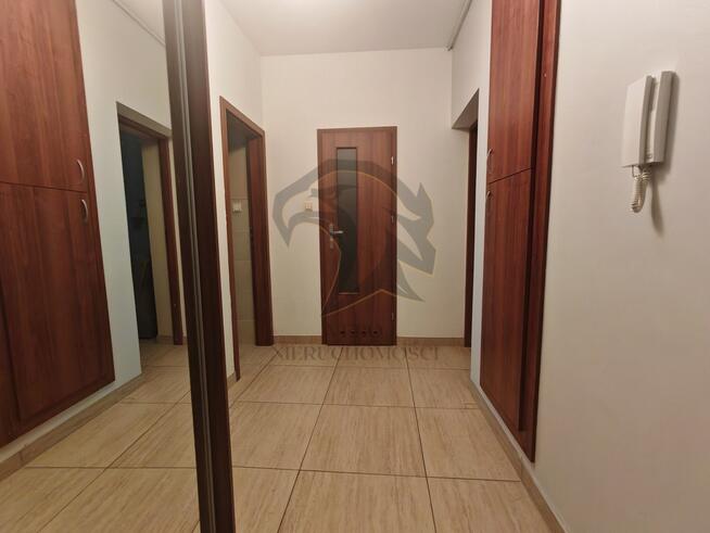 Tajna Oaza na Placu Muzealnym