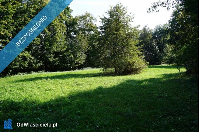 ? Unikatowy park pod Warszawą