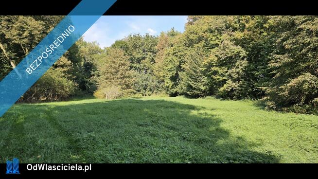 ? Unikatowy park pod Warszawą
