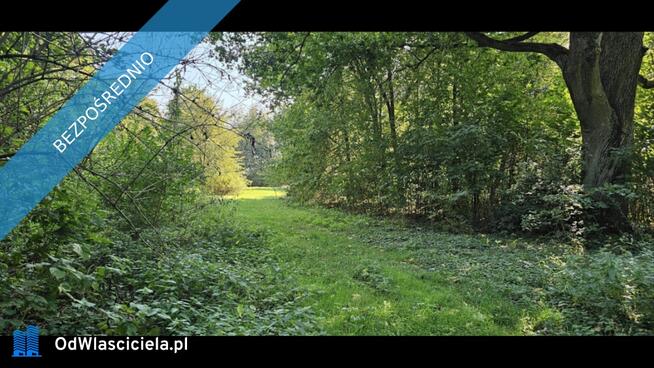 ? Unikatowy park pod Warszawą