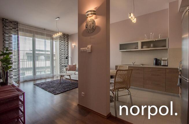 Zwierzyniecka, Angel Plaza, 50 m2, siłownia, balkon z widokiem na Wawel, ochrona