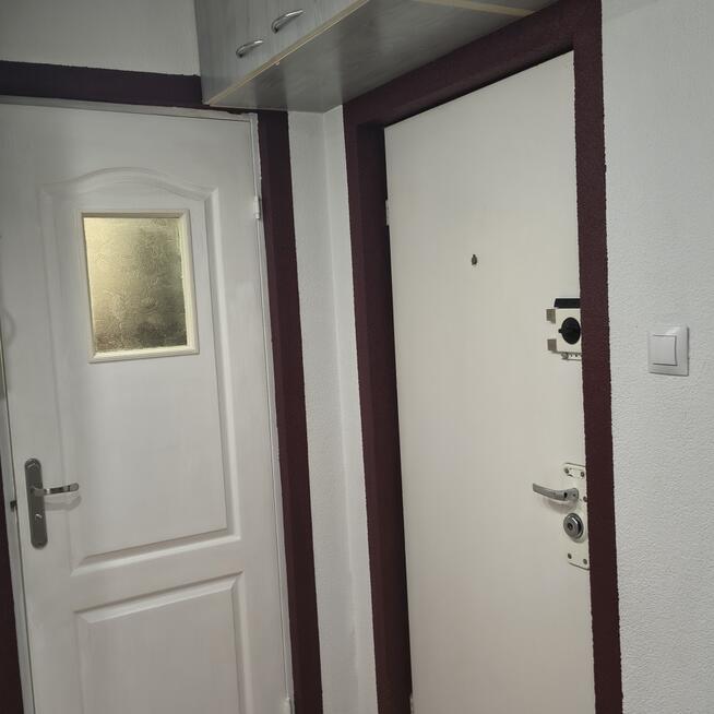 Do wynajęcia zadbane, przytulne mieszkanie
