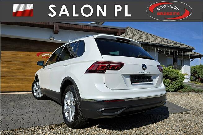 Volkswagen Tiguan serwis ASO, Hak, nawigacja
