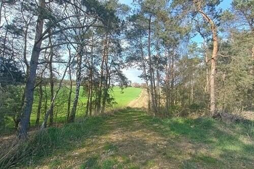 Teren inwestycyjny 9538 m2 z WZ - Borki | Jędrzejów