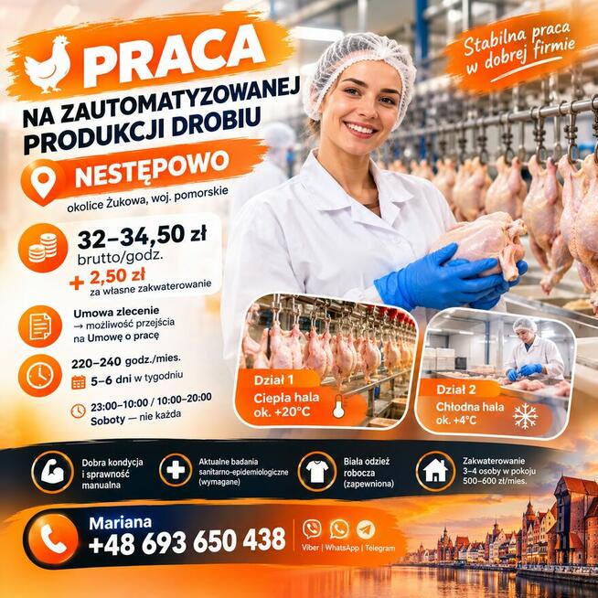 PRACA NA ZAUTOMATYZOWANEJ PRODUKCJI DROBIU