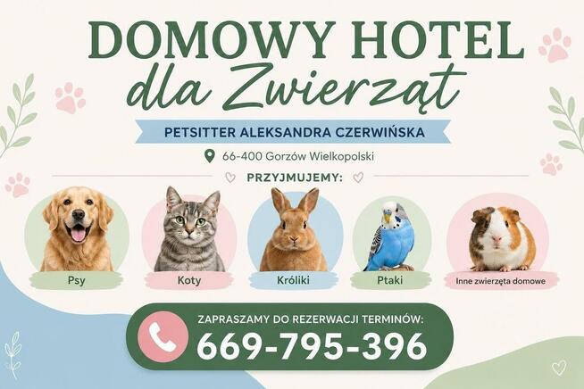 Domowy Hotel dla Zwierząt Gorzów Wielkopolski