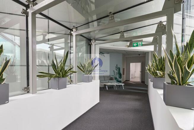 Lokal użytkowy Warszawa Wola, Okopowa