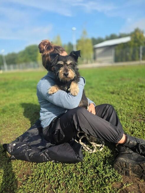 Kaktus-delikatny nieśmiały szorstki piesek do adopcji