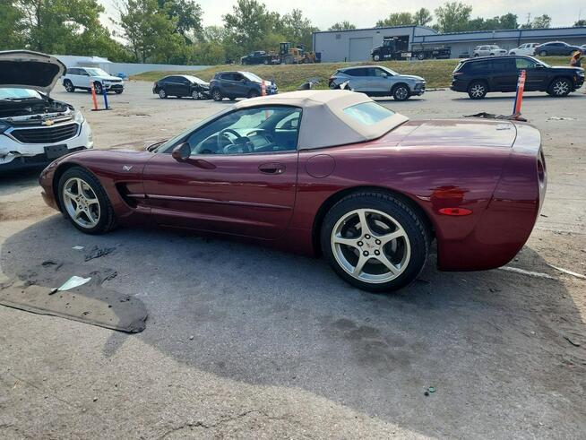 Chevrolet Corvette C5 / Automat / Bardzo zadbany