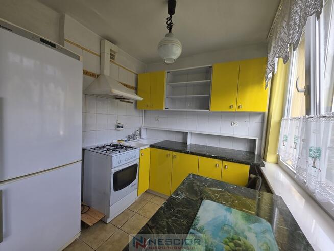 Do wynajęcia małe mieszkanie 26m2
