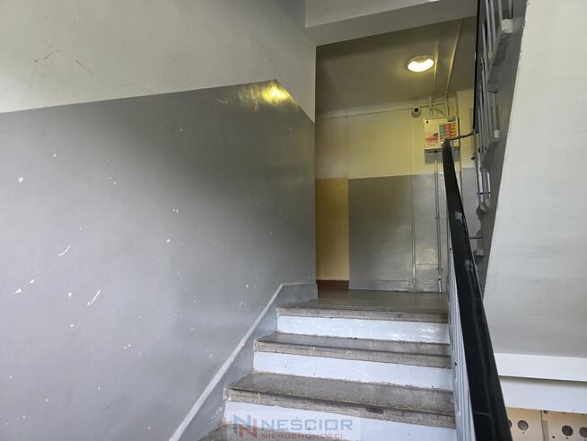 Do wynajęcia małe mieszkanie 26m2