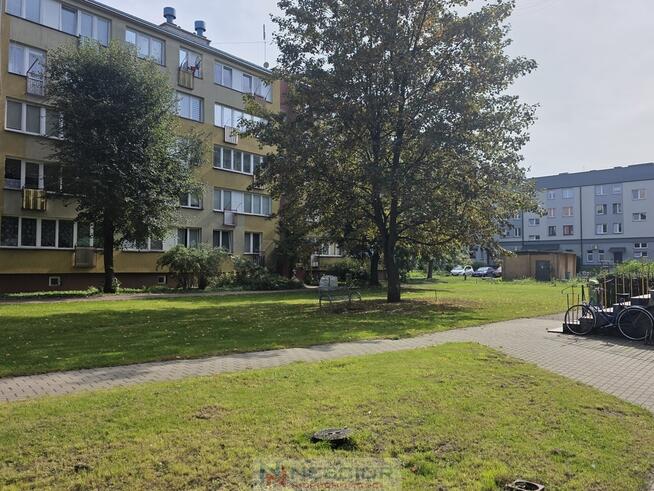 Do wynajęcia małe mieszkanie 26m2