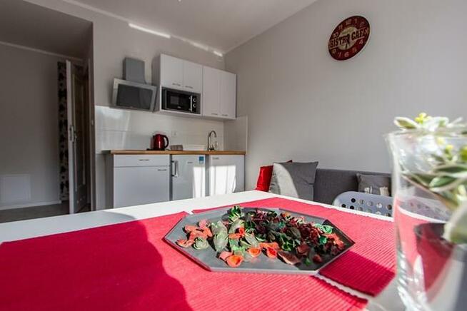 Proszowicka 15, przytulna kawalerka pet-friendly