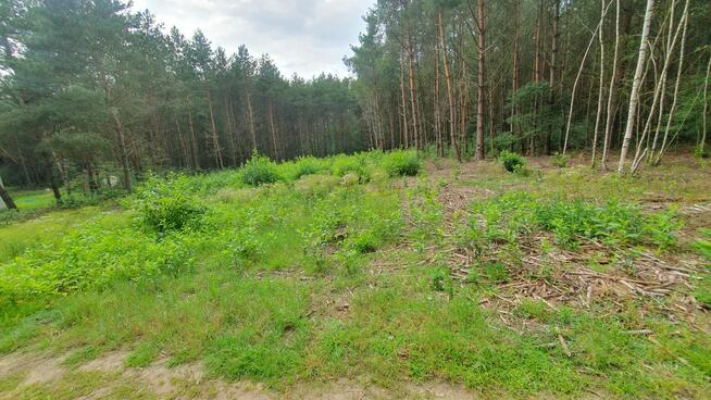 Działka budowlana 2561m2 Poznań/Gniezno