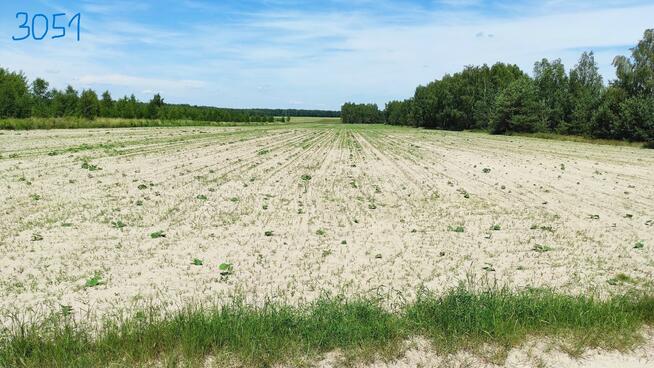 Grunty rolne ok. 5 ha - Sławacinek Stary gm. Biała Podlaska