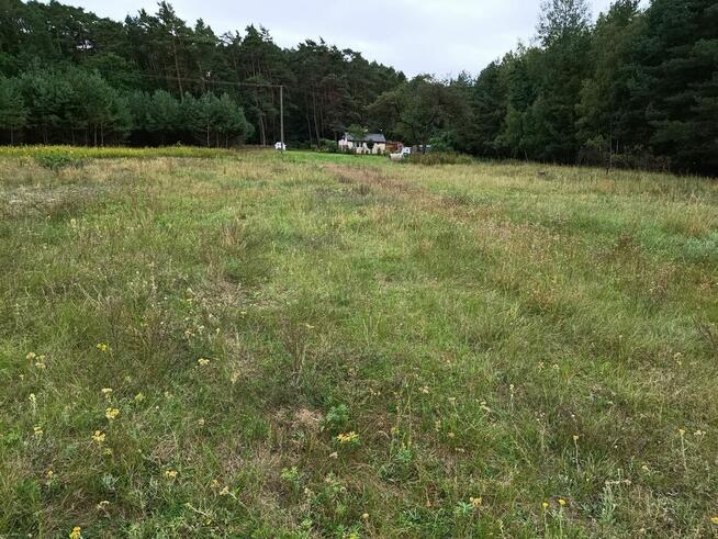 Działka rolna gmina Leoncin