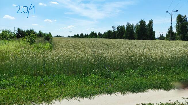 Grunty rolne ok. 5 ha - Sławacinek Stary gm. Biała Podlaska