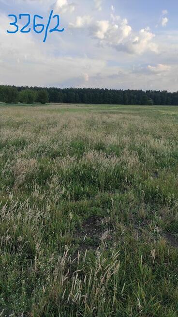 Grunty rolne ok. 5 ha - Sławacinek Stary gm. Biała Podlaska