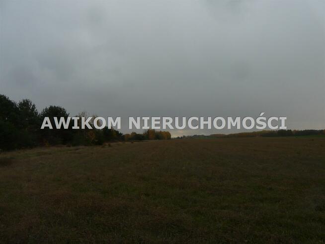 Działka siedliskowa Puszcza Mariańska Stary Łajszczew