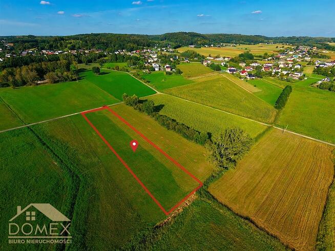 Działka leśna Bełsznica gm. Gorzyce