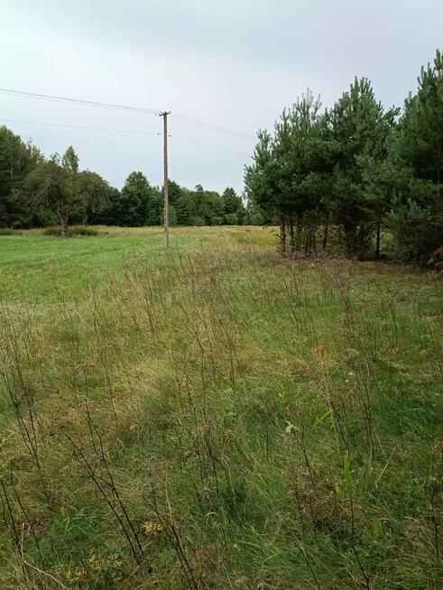 Działka rolna gmina Leoncin