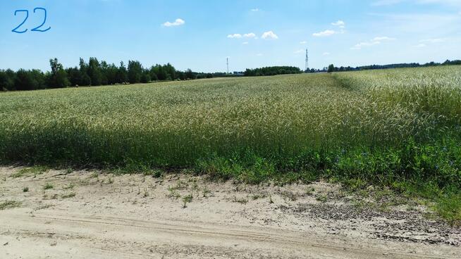 Grunty rolne ok. 5 ha - Sławacinek Stary gm. Biała Podlaska