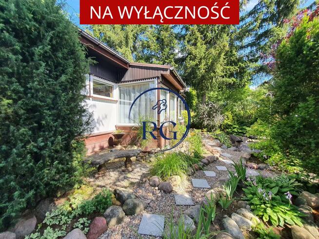 Działka rekreacyjna Laski Wielkie gm. Gąsawa