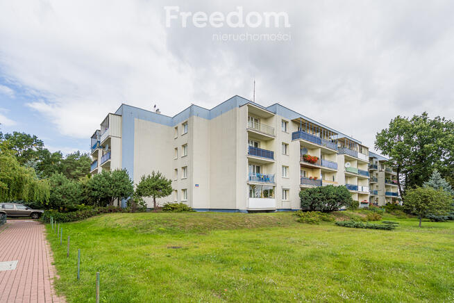 Rozkładowe | Idealny układ | Las | 3 pokoje