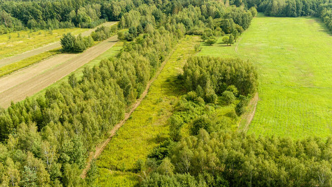 Działka rolna 71 arów Bidoliny Radłowskie
