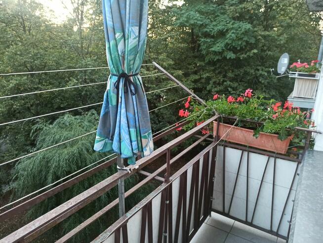 Sprzedam kawalerkę 35m, IIp, balkon, ul. Sienkiewicza