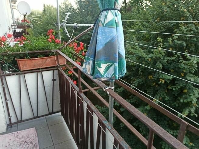 Sprzedam kawalerkę 35m, IIp, balkon, ul. Sienkiewicza